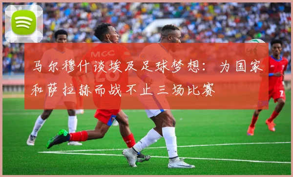 马尔穆什谈埃及足球梦想：为国家和萨拉赫而战不止三场比赛