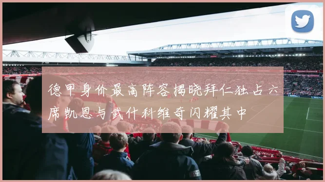 德甲身价最高阵容揭晓拜仁独占六席凯恩与武什科维奇闪耀其中