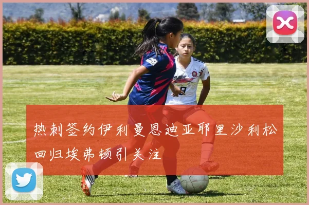 热刺签约伊利曼恩迪亚耶里沙利松回归埃弗顿引关注