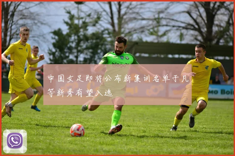 中国女足即将公布新集训名单于凡等新秀有望入选